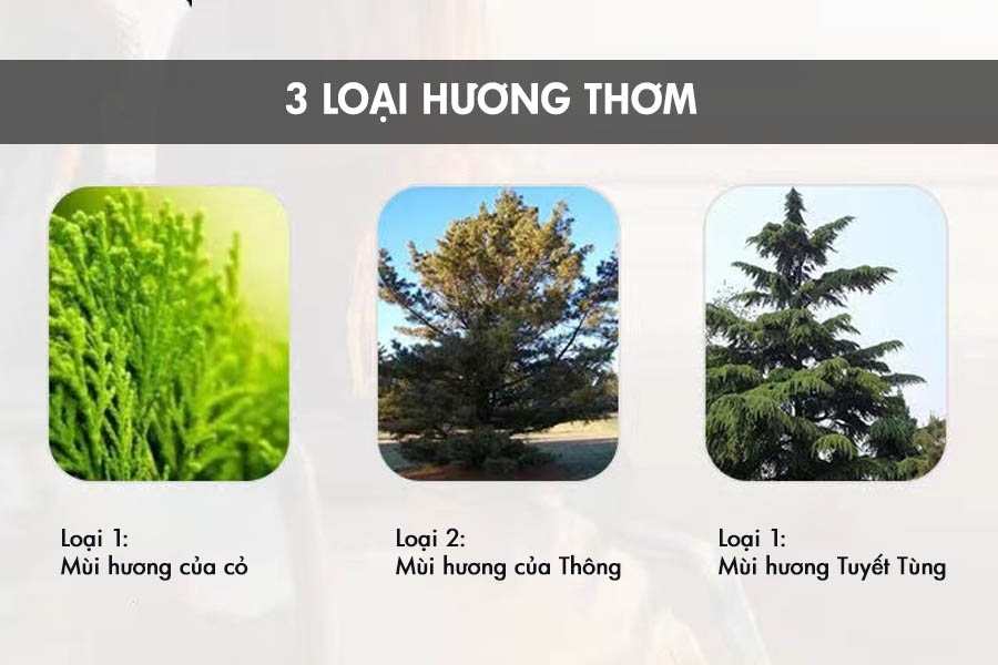 sap-thom-xe-hoi-hinh-may-hat-dia-Artboard 8.jpg